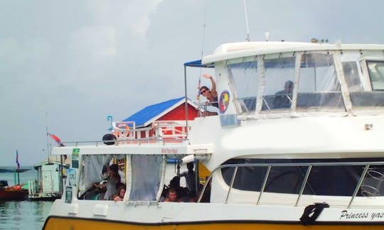 Daily Scuba Diving in Sihanouk - Cambodia