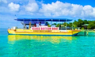 Glass Bottom Boat Tours in Flowers Bay