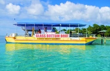 Glass Bottom Boat Tours in Flowers Bay