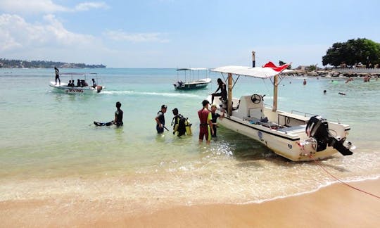 Únete a la aventura del buceo y sigue aprendiendo en Unawatuna, Sri Lanka