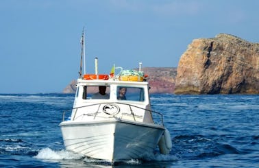 Dolphin Watching in Sagres