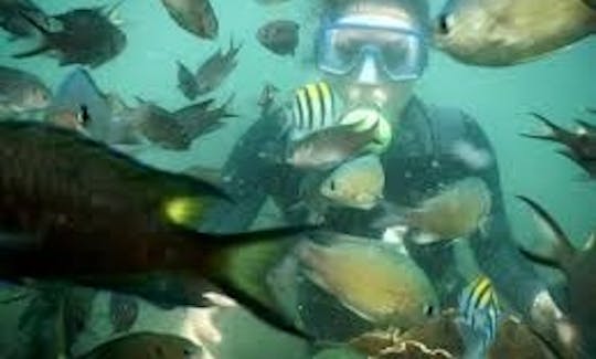 Amazing Diving Trip with Guide in Malvan, India