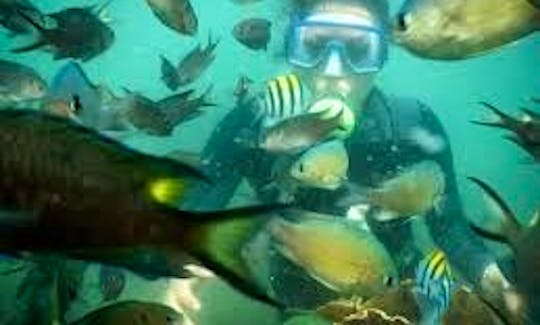 Amazing Diving Trip with Guide in Malvan, India
