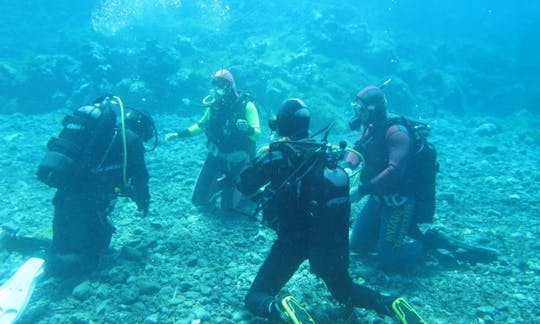 イタリアのウスティカ島での専門ガイド付き最大15人までのダイビング旅行