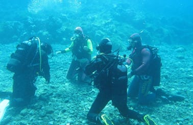 Diving Trip for Up to 15 People with Professional Guide in Ustica, Italy