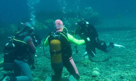 イタリアのウスティカ島での専門ガイド付き最大15人までのダイビング旅行