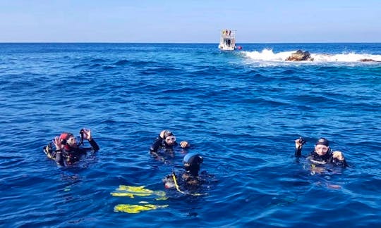 Diving Trip for Up to 15 People with Professional Guide in Ustica, Italy