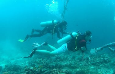 Diving Trip with Professional Guide in Cebu City, Philippines