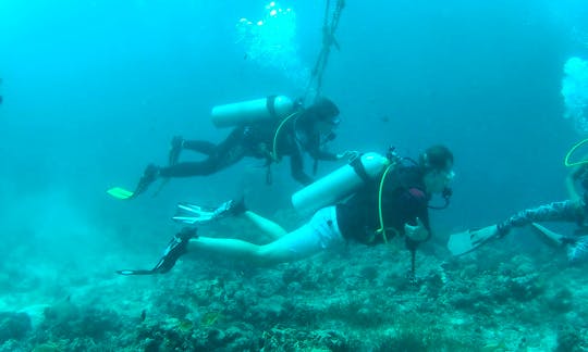 Diving Trip with Professional Guide in Cebu City, Philippines
