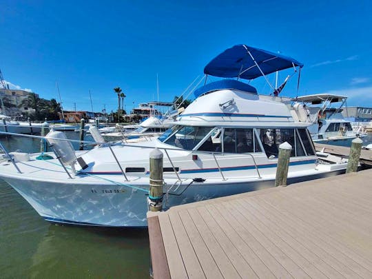 Bayliner 3270 Explorer Yacht! it's more fun with a Captain!