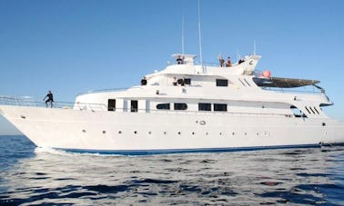 Charter 118' Power Mega Yacht in Safaga, Egypt