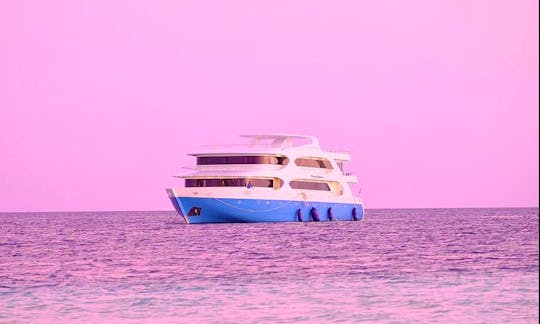 Fishing Holiday or Boat Tours around the Charming Maldives Sea
