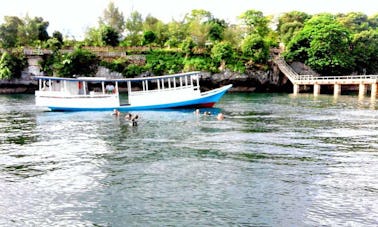 Scuba Diving Trips in Sulawesi Tenggara, Indonesia