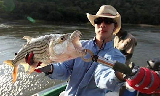 Tiger Fishing on Zambezi River Safari