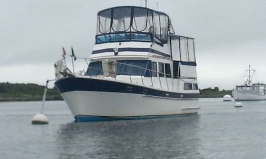 Sunset Charter for 6 persons - Private 42 trawler- Hyannis Ma. Starts at 6pm