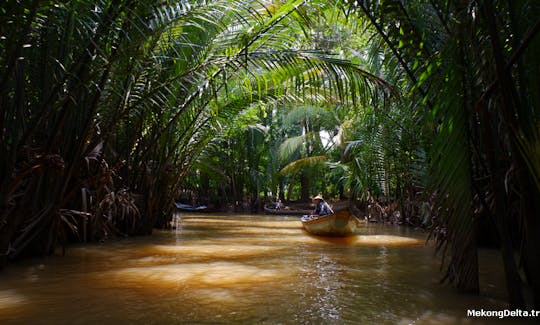 Rowing boat into small waterways