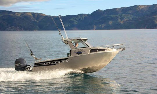 Dive Experience, Scenic Charters or Fishing Trips in Nelson, NZ