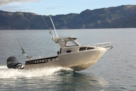 Dive Experience, Scenic Charters or Fishing Trips in Nelson, NZ