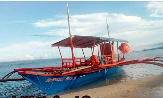 Available now! sand bar and dolphin watching contact us