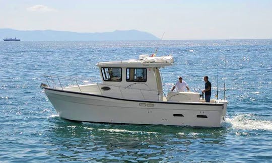 Fishing Charter on TR 29 Cuddy Cabin in Napoli, Campania with Captain Vincenzo