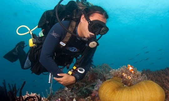 5 Days / 4 Nights Diving Tour in Bunaken, Indonesia