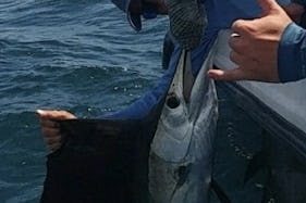 Wide Open Charters and Guide Service