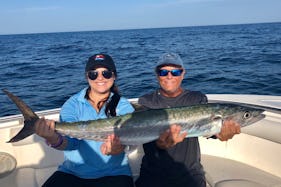 Fishing Charters and Dolphin Tours