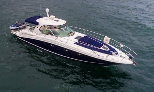 SeaRay 42 サンダンサーラグジュアリーモーターヨットチャーター（ハリスコ州プエルトバジャルタ）