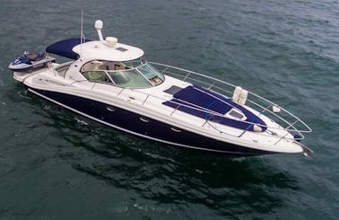 SeaRay 42 Sundancer Luxury Motor Yacht Charter in Puerto Vallarta, Jalisco