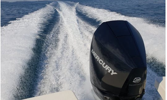 Quicksilver 755 ACTIV Open for hire in Trogir or Split