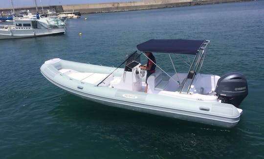 Rigid Inflatable Boat Predator 7.3m 24ft for rent in Forio, Ischia