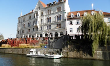 City Tour in Ljubljana