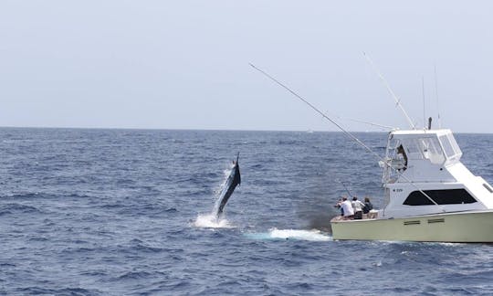 Marina Mindelo, 40 ft Pacemaker Sportsfisherman Rental for 8 People