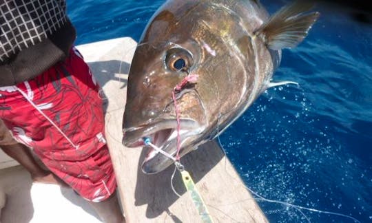 Marina Mindelo, 40 ft Pacemaker Sportsfisherman Rental for 8 People