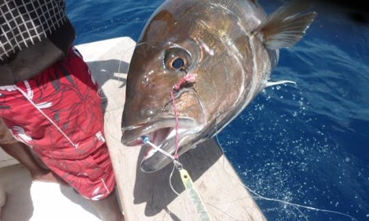 Marina Mindelo, 40 ft Pacemaker Sportsfisherman Rental for 8 People