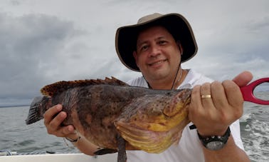 Carta de pesca desportiva no Golfo do Montijo (Mutis)