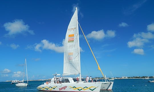 Cruising Catamaran Charter for Up to 65 People in St Maarten