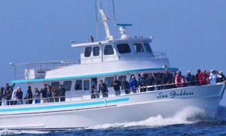 Whale Watching Tours for Up to 93 People in Moss Landing