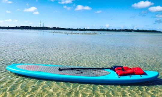 Stand Up Paddleboard Rental and Tour in Treasure Island, Florida