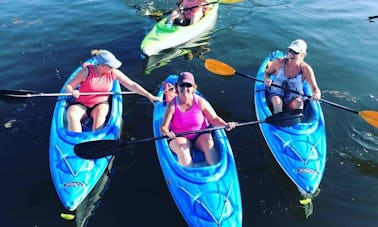 Location de kayaks individuels Pelican 10 et excursion en kayak à St. John's Pass et Shell Key Preserve