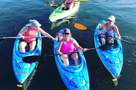 Pelican 10 Single Kayak Rental and St. John's Pass and Shell Key Preserve Kayak Tour
