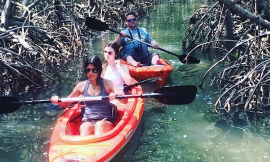 Location et excursions en kayak tandem à Treasure Island