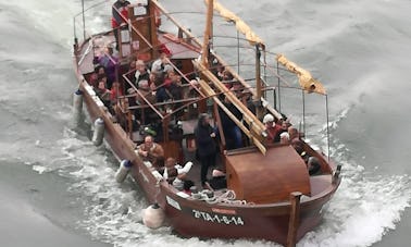 Cruzeiros guiados de barco pelo rio Ebro - 60 minutos