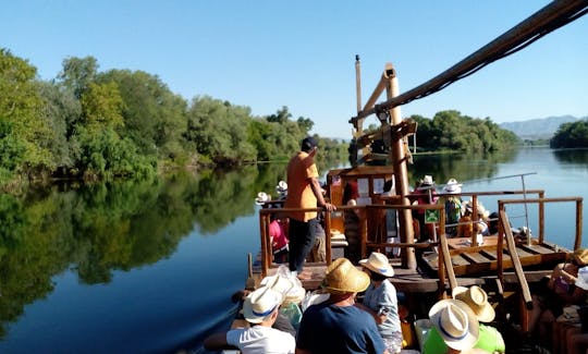 Enjoying river Ebro forest