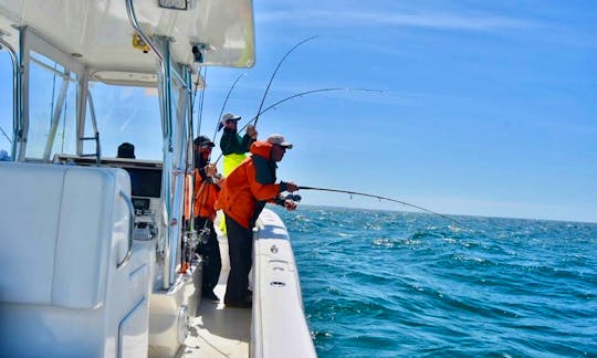 26' SeaCraft Master Angler Fishing Charter in Truro, Massachusetts