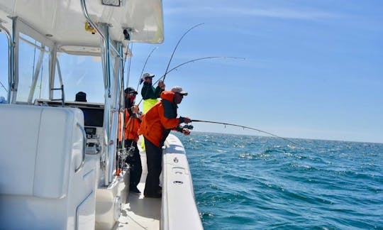 Striped Bass and Bluefin Tuna Fishing Charter in Truro, Massachusetts (26' Boat)
