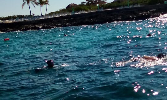 Aluguel de mergulho com snorkel em Nassau