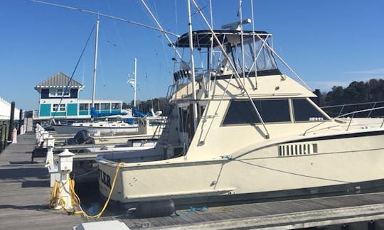 Inshore/Offshore Fishing Trip in Norfolk/VA Beach With Captain Lou