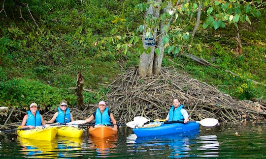 Guided Lake Kayaking Trip in Elizabethton, Tennessee