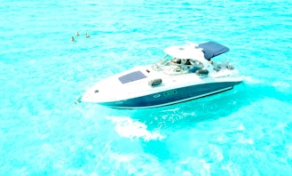 Charter a Captained 38ft Sea Ray Sundancer Motor Yacht in Cancún, Quintana Roo
